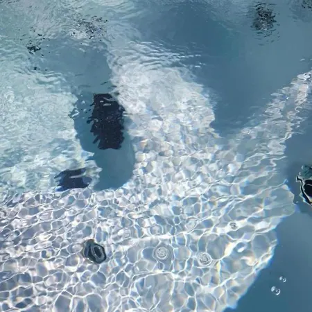 Renove Avec Piscine Couverte Chauffee, Spa, Climatisation Et Equipements Pmr A - Fr-1-489-483 Couzon